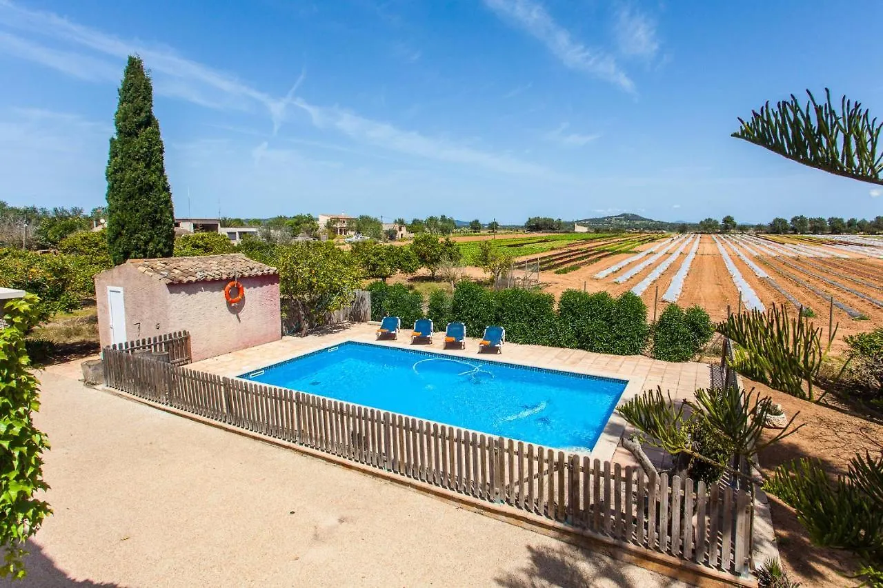 Sa Volta Nova Villa Porreres Vakantiehuis